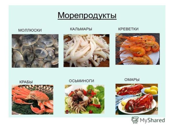 Рыбные и нерыбные продукты