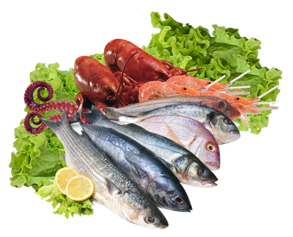 Иллюстрации для детей морепродукты