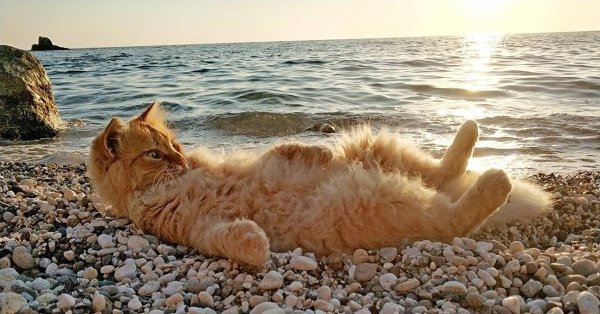 Анатолий Ярышкин картины море