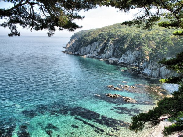 Бухта теляковского Гамова