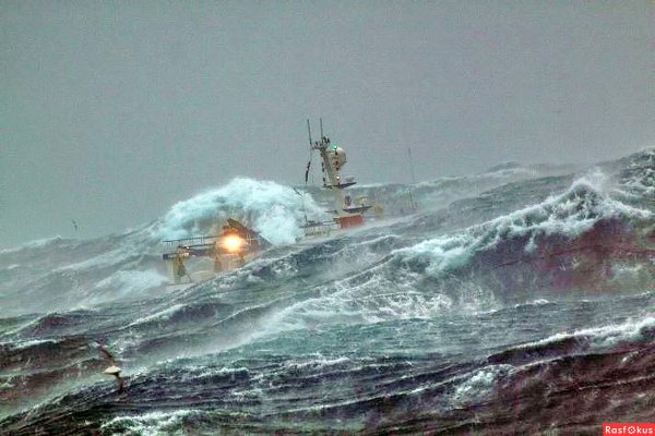 Суда в Штормовом море