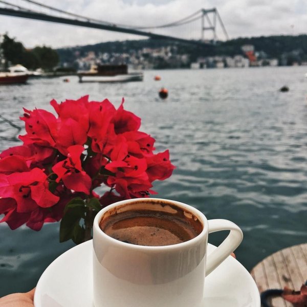 Утро море кофе цветы