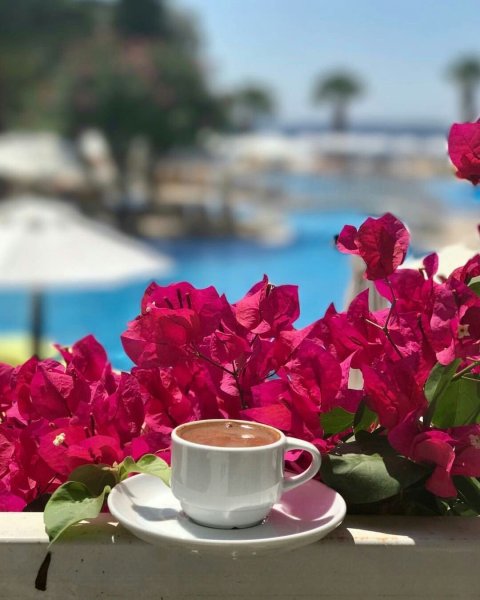 Доброе утро море цветов