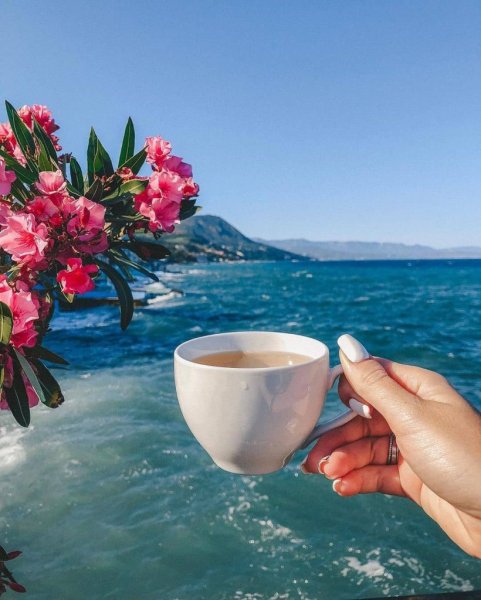 Доброе Морское утро