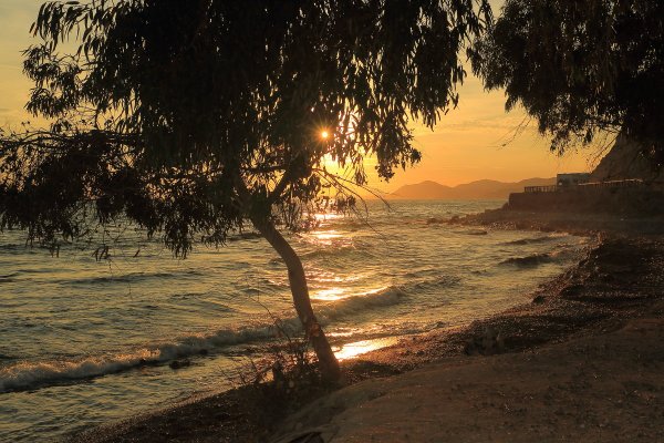 Романтический ужин