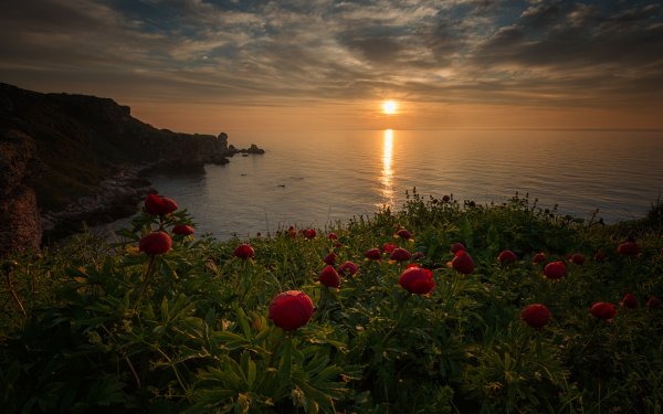 Пикник на берегу моря закат