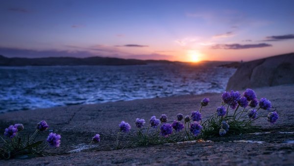 Прогулка по берегу моря