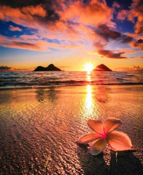 Летний закат на море