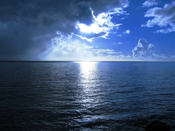 Amazon Blue Ocean