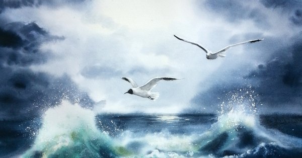 «Морской пейзаж с чайкой и яхтами» Дарья Куцаева