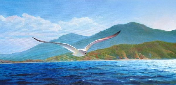 Море Чайки живопись