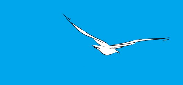 Парусник и Чайки картина