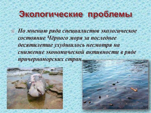 Экологические проблемы черного моря