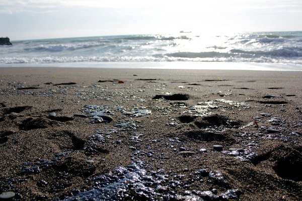 Черное море загрязненное нефтепродуктами