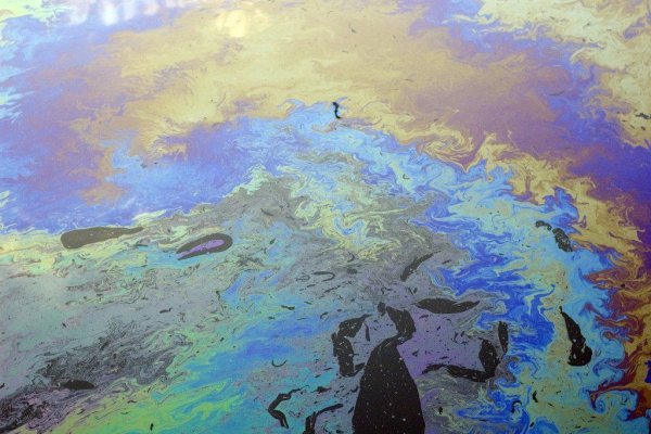 Экология черного моря