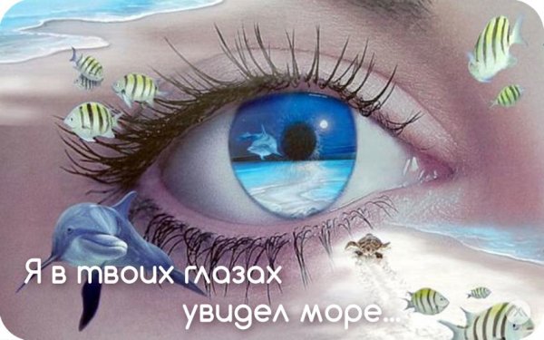 Море в глазах