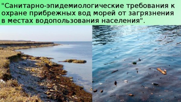Экологические проблемы и охрана черного моря