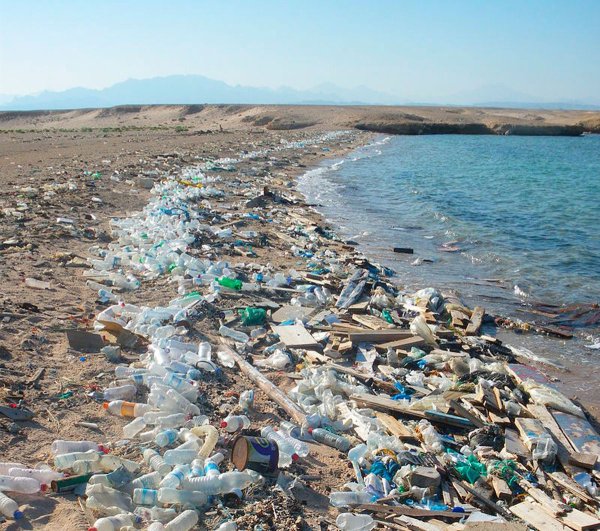 Экологические проблемы в черном мор