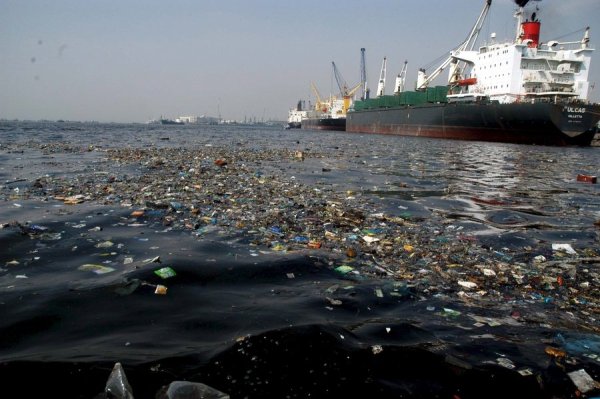 Проблемы черного моря кратко