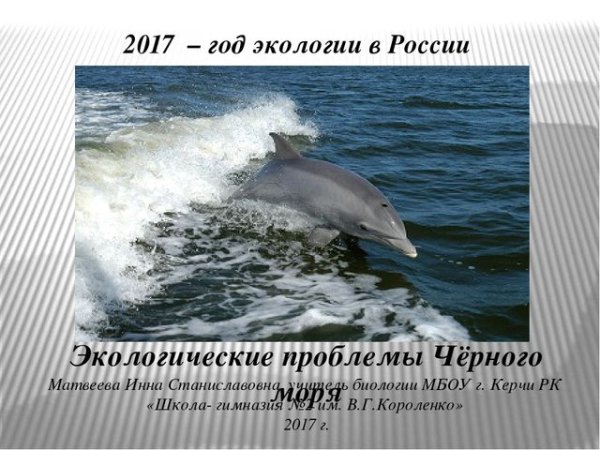 Грязное море