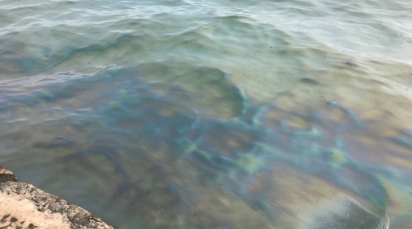 Каспийское море экопроблемы