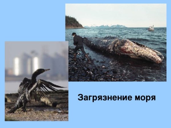 Пляж Камило мусор