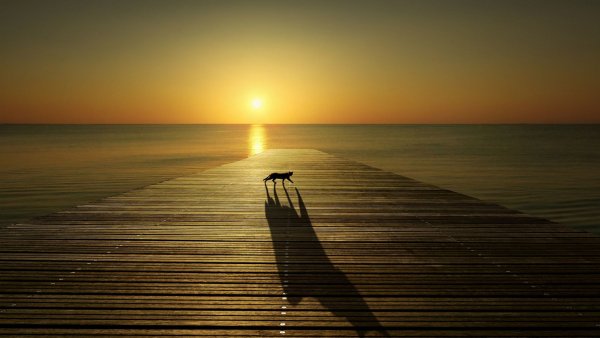 Тень от солнца закат