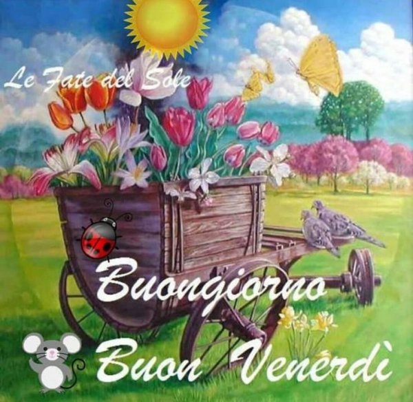 Картинки buongiorno venerdi