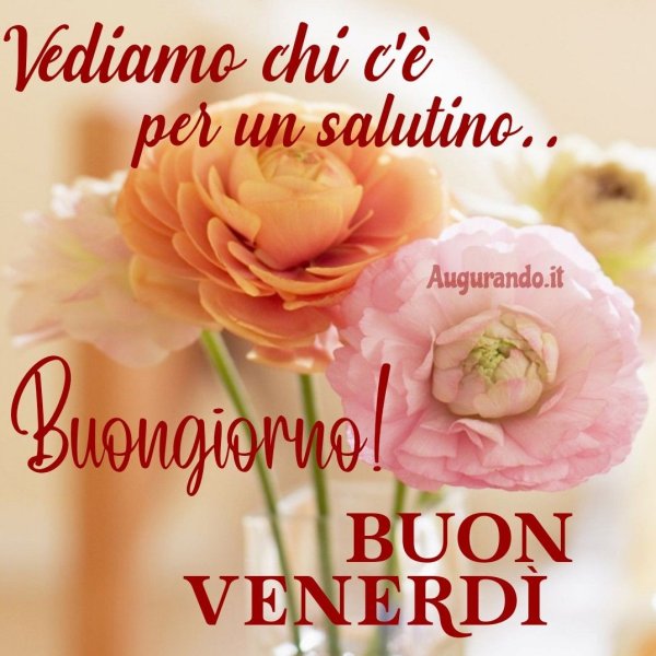 Buongiorno buon venerdi картинки