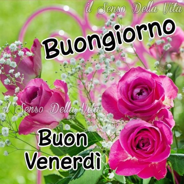 Открытки buon venerdi