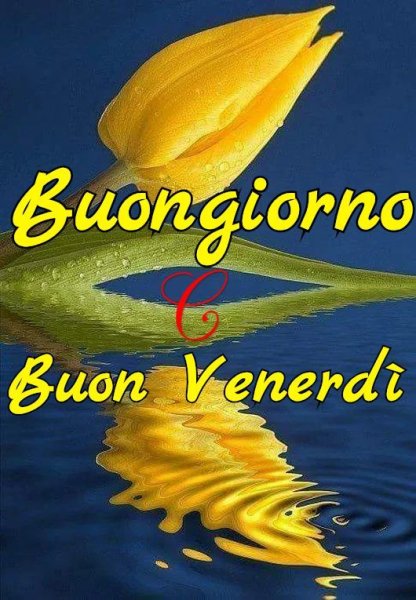 Buon venerdi картинки на итальянском красивые анимация мерцающие