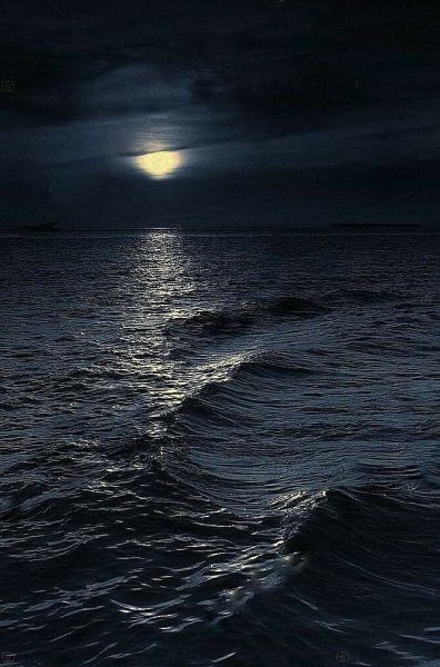 Ночное море