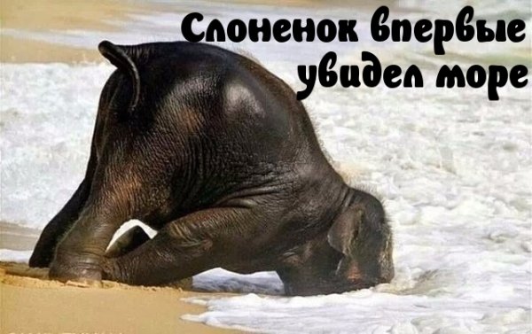 Скоро отпуск фото