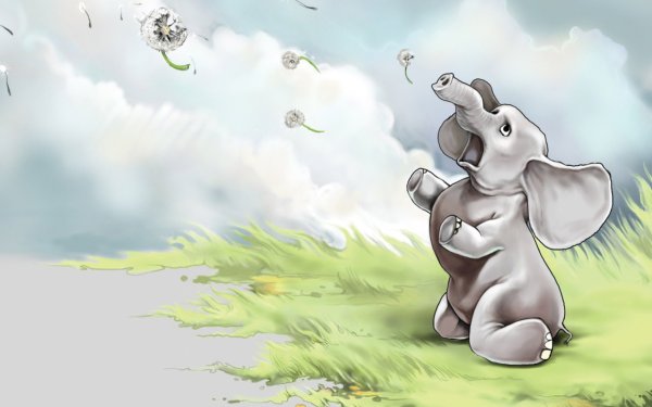 Слон и море Шри Ланка