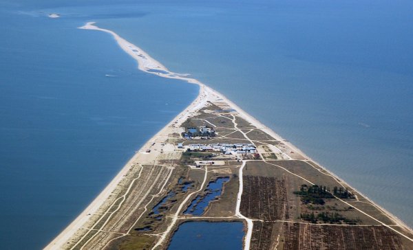 Коса долгая станица Должанская