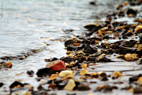 Калининград Балтийское море янтарь