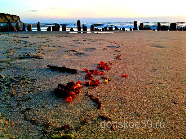 Янтарь на берегу Балтийского моря в Калининграде