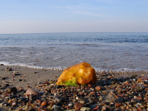 Балтийское море янтарь