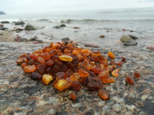 Калининград Балтийское море янтарь