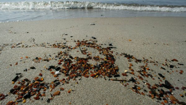 Янтарь в Балтийском море