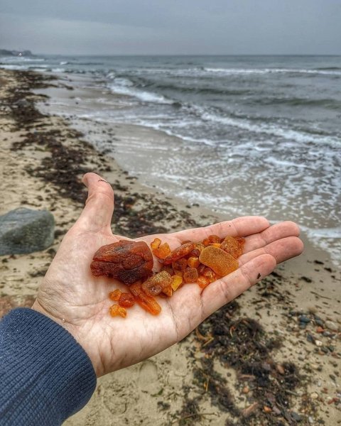 Янтарь в Балтийском море