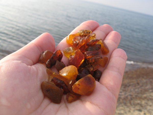 Балтийское море янтарь