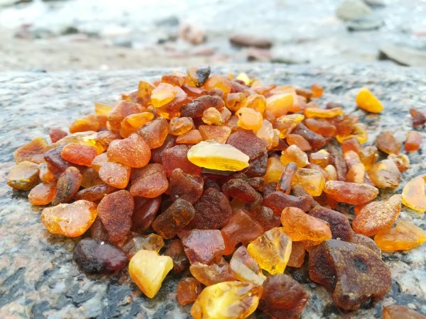 Янтарь камень Балтийское море Калининград