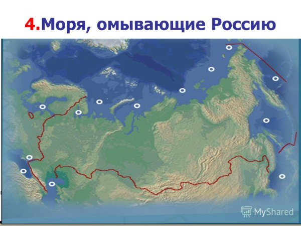 Моря и океаны омывающие Россию на карте