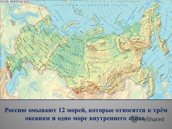 Моря которые омывают Россию