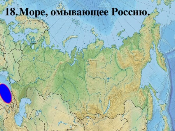 Моря и океаны омывающие Россию на карте
