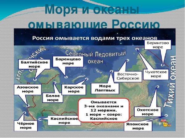 Сколько морей омывает Россию на карте