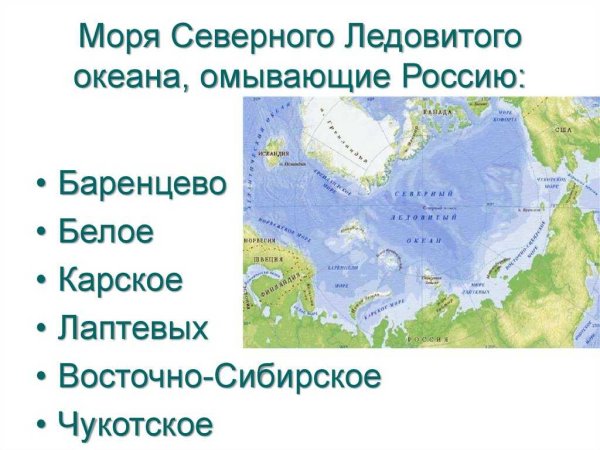 Моря омывающие Россию
