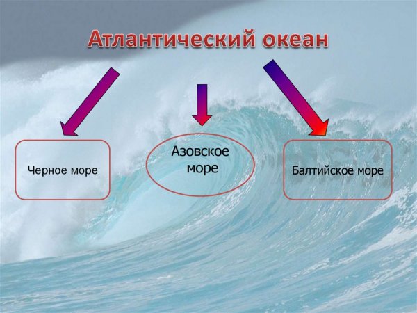 Моря и океаны омывающие Россию на карте России