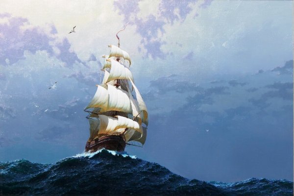 Книжное море